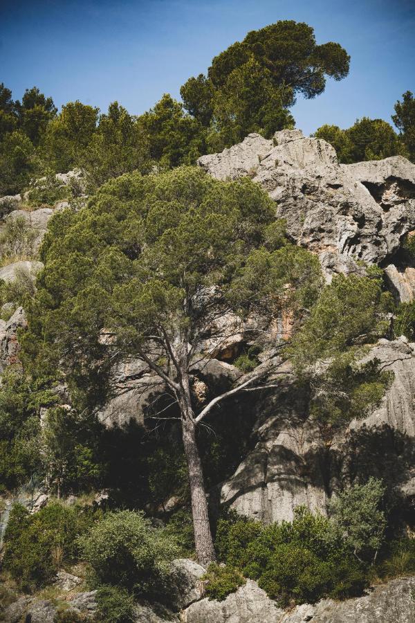 Pure Salt (adults Only) 4* Puerto de Sóller